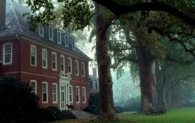 Материалы, которые стареют красиво: отделка фасада и малых форм в лесной среде