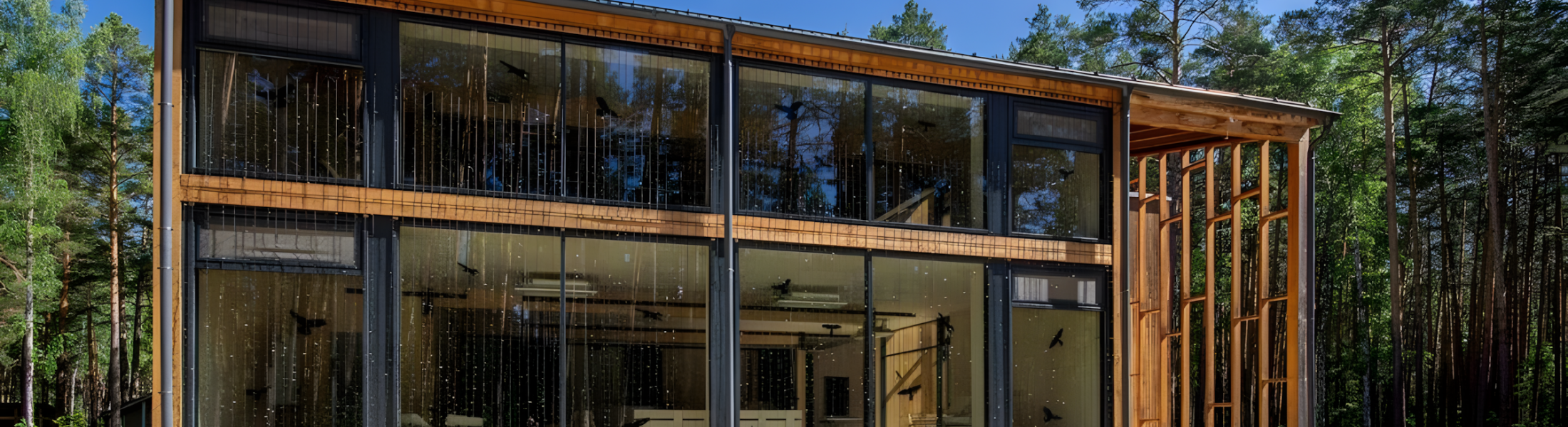 IT-КОВОРКИНГ или ФАБРИКА БЛОГЕРОВ