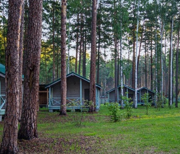 Душа в деталях